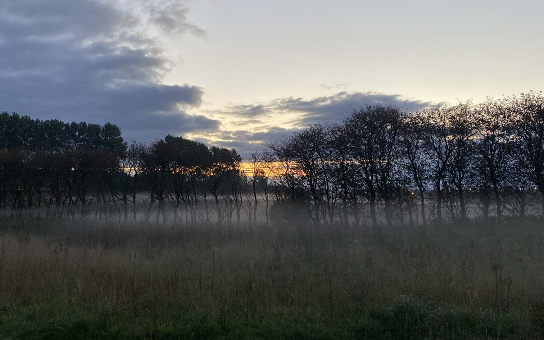 Nærvær i lederskab