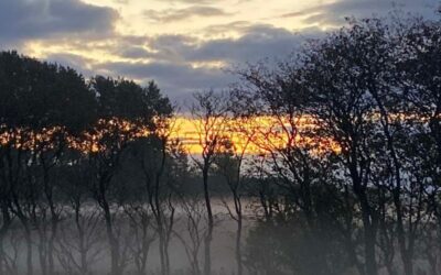 Hvorfor er det svært at implementere mindfulness på arbejdspladsen?