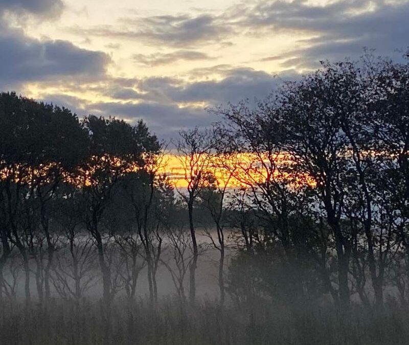 Trivsel som fælles ansvar på arbejdspladsen