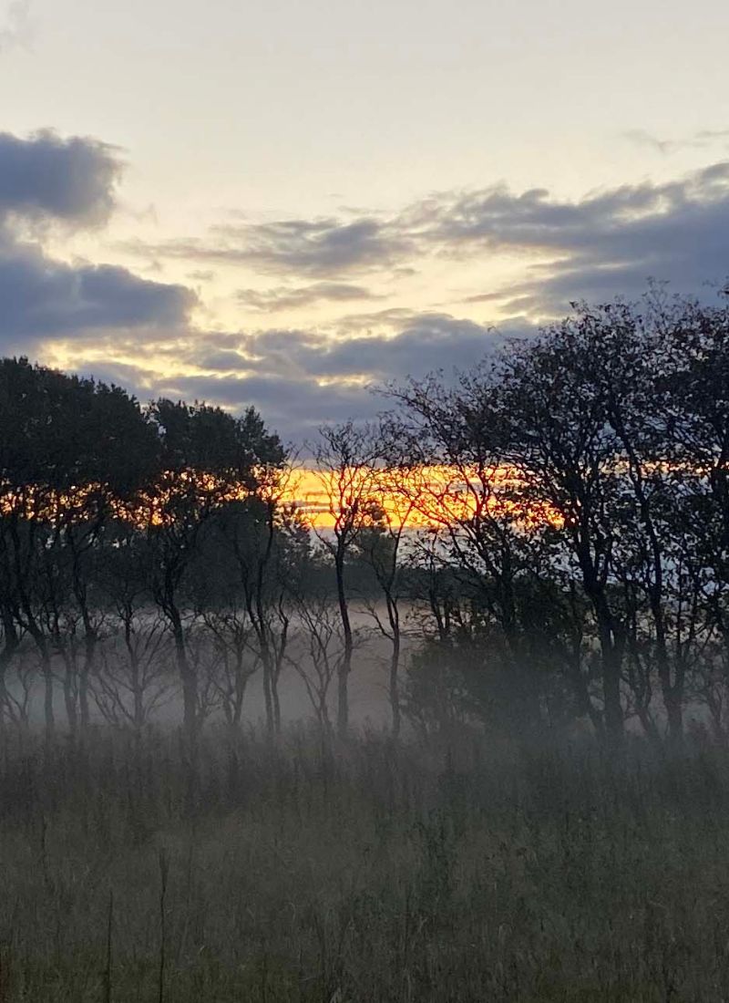 Mindfulness - dansk natur